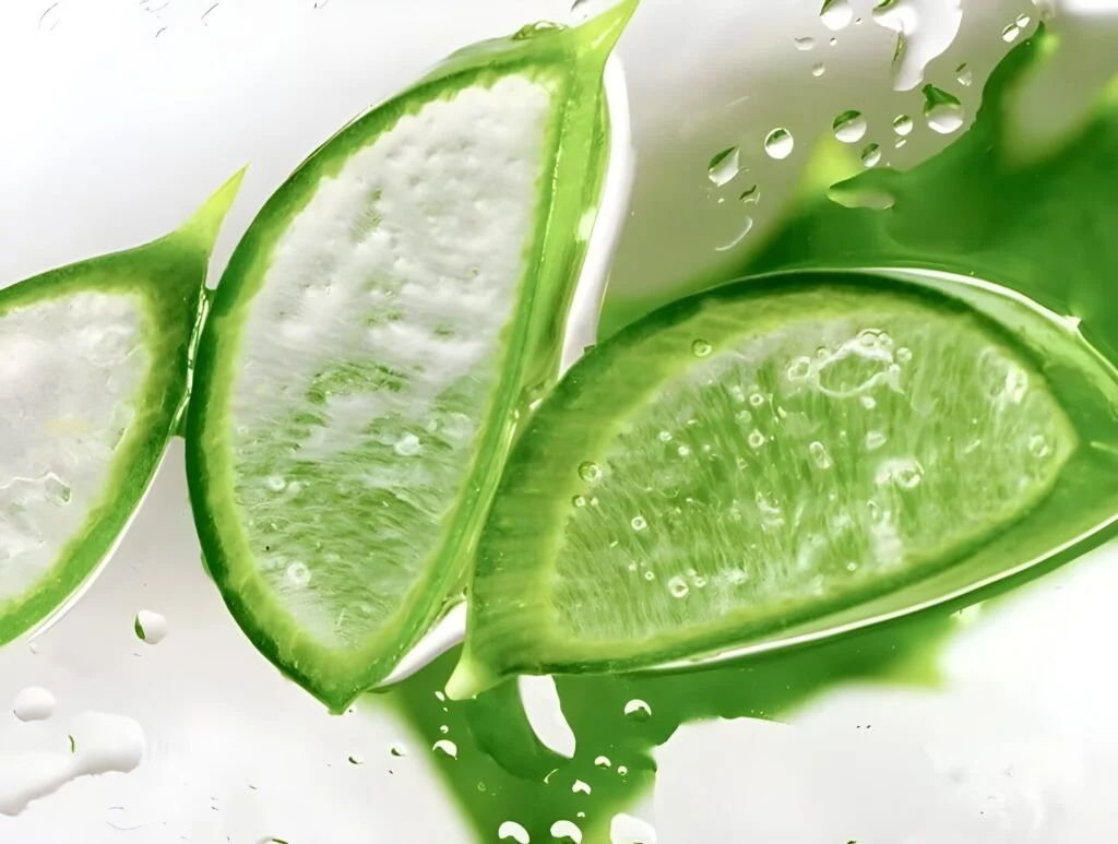 Nature Republic Soothing Moisture Aloe Vera 92% 