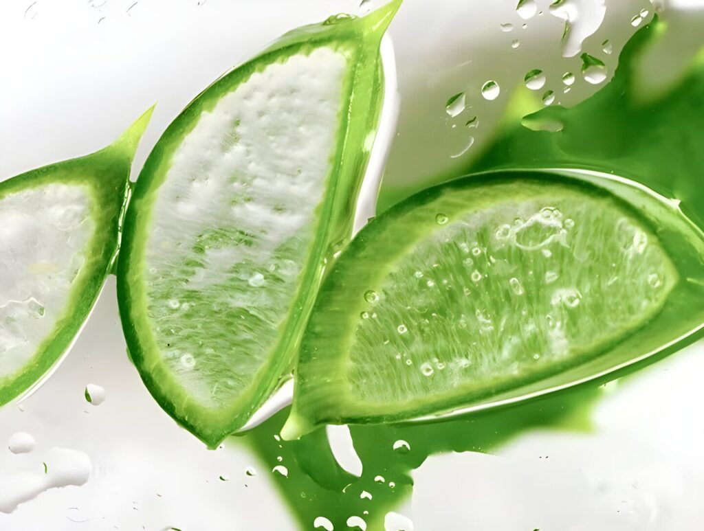 Holika Holika Aloe 99% Soothing Gel Fresh 250ml