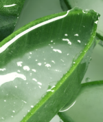 EYENLIP Real Aloe Cooling Soothing Gel 300ml