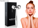 WellDerma Face Lifting Roller Dark Silver